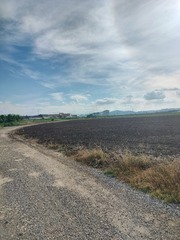 1000008554