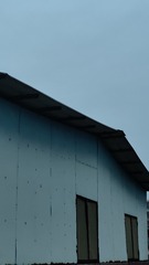 1000029564