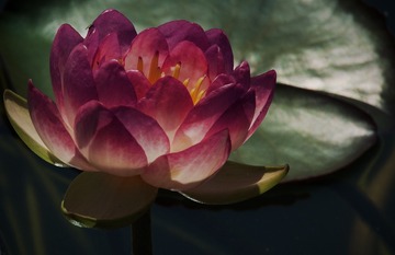 C8051308-B64F-4749-8F55-F3E15B6DD578/L0/001