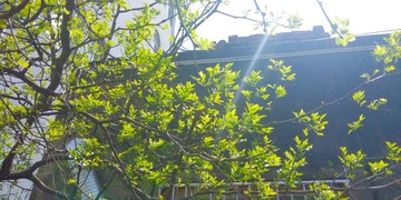 1201541