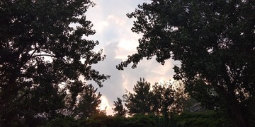 1271522