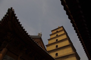 IMGP8532.JPG