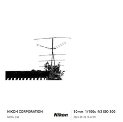289004