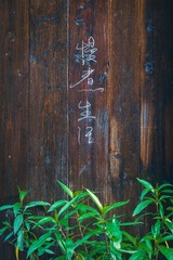 2A2F6DF0-E566-482A-91E9-D5A3A49FEB78/L0/001