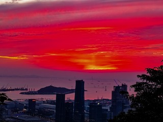1000101652