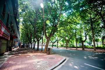 林荫路