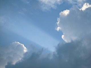1000038570