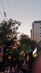 1000018503