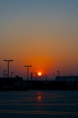 _DSC5446.jpg