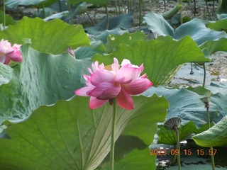 08B02A31-8D95-4DB8-B4CF-937B044D4D4B/L0/001