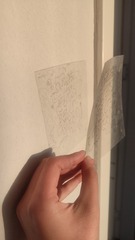 1000023236