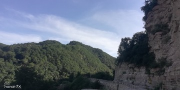 19016