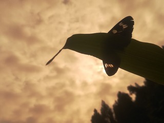 2813