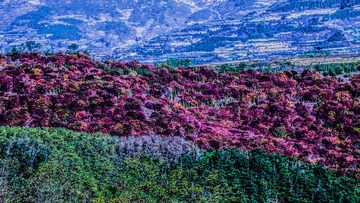 IMG_1549-2