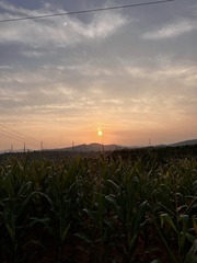 B1279B44-DA42-4CEA-B779-BB13A1AD8A83/L0/001