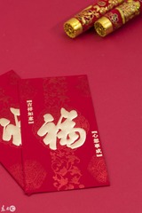 CCX_2481的