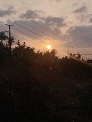 1000015250