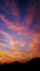 CA3C0825.JPG