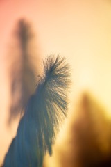 7D4DFBE5-6F8B-42FD-A33A-541D5DD3A611/L0/001