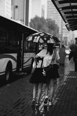 283526DE-BE33-447D-8ECE-3269C9C961A5/L0/001