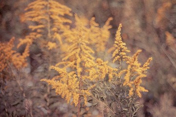 IMG_2592.jpg