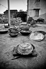 IMG_2678.jpg