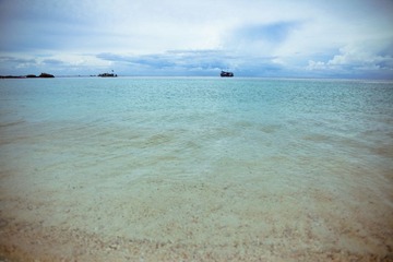 IMG_3768.jpg