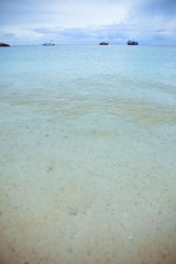 IMG_3774.jpg