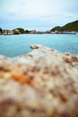 IMG_3819.jpg