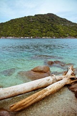 IMG_3824.jpg