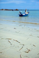 IMG_4064.jpg