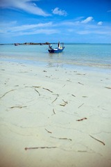 IMG_4065.jpg