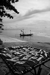 IMG_4091.jpg