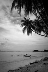 IMG_4129-1.jpg