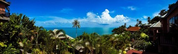 IMG_4298111-1.jpg