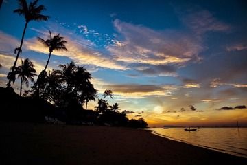 IMG_4484-1.jpg