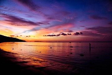 IMG_4565-1.jpg