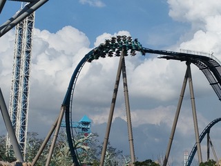 1000025631