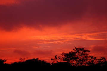 DSC_0003