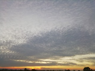 1497717