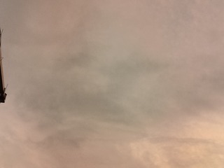 1000019934