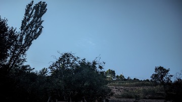 1000123791