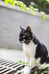 133188