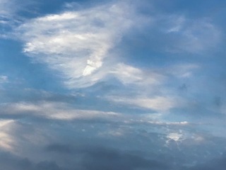 4463DB83-FEB9-473A-A147-0C4D9E185314/L0/001