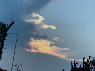 2F271AB6-0FFE-4C31-AE4C-9203E123DB6B/L0/001
