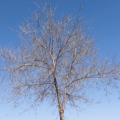 2015-03-08 131635