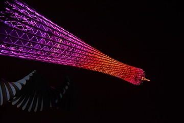 LHT_5241