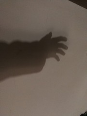 69268