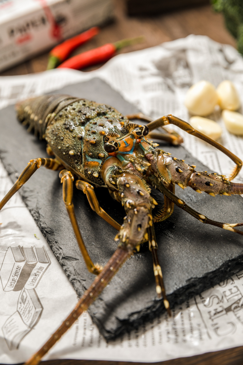 新鲜生猛海鲜大龙虾小青龙