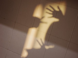 B02EF564-BB9B-4221-B355-E36A92CE8665/L0/001